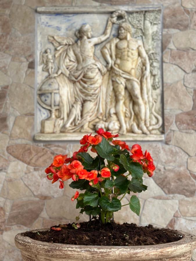 The Odyssey - Agios Ioannis, Pelion